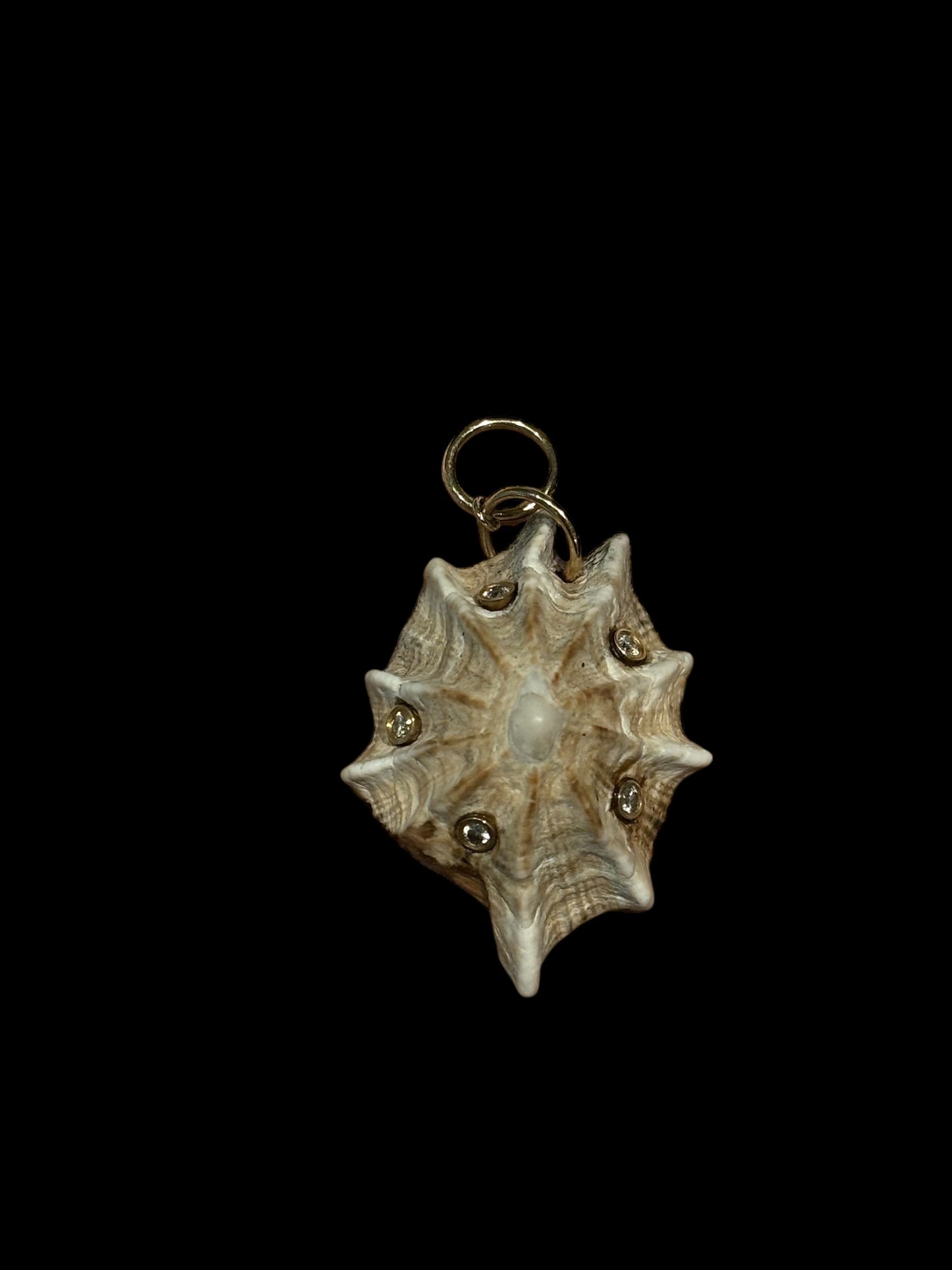 Natural Spiky Sea Shell Pendant with diamonds