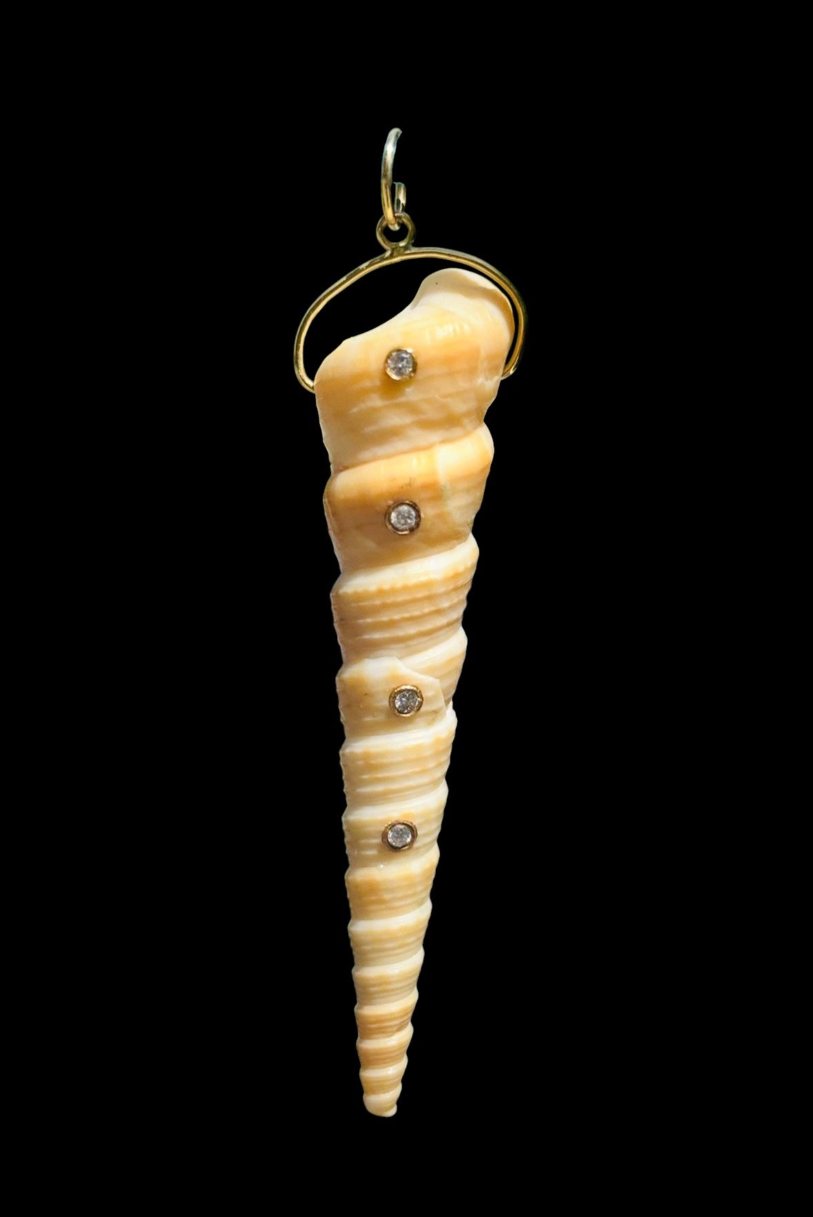 Natural Spiral Shell Pendant with Diamonds