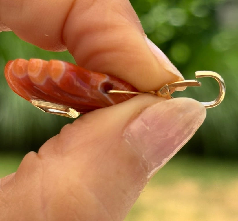 Laguna Agate Shell Pendant with Citrine
