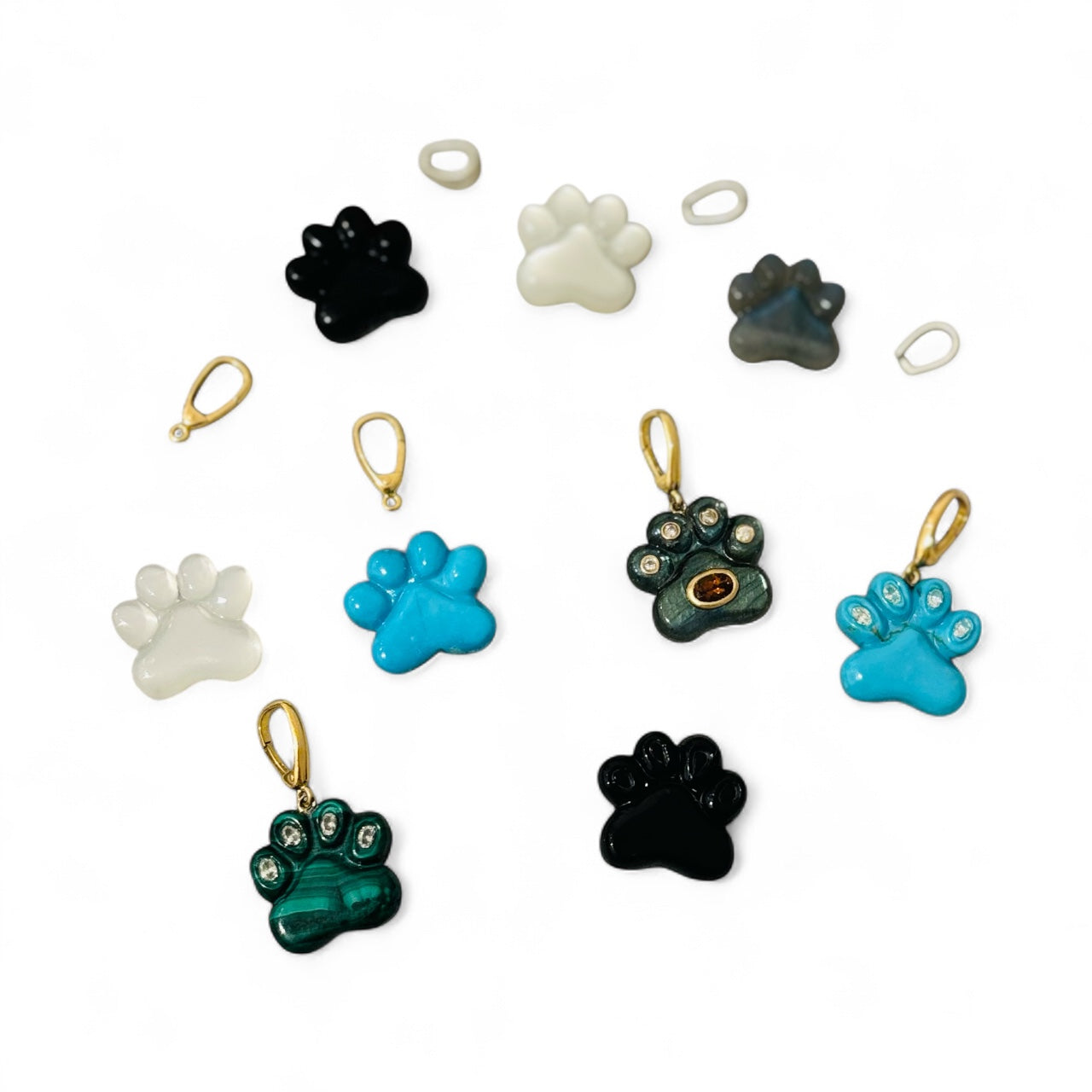 Dog Paw: Design Your Own