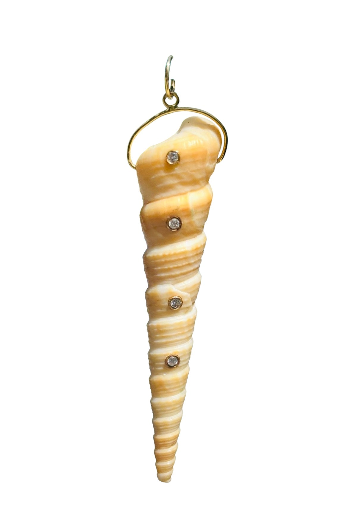 Natural Spiral Shell Pendant with Diamonds